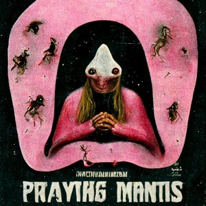 Praying Mantis - Single