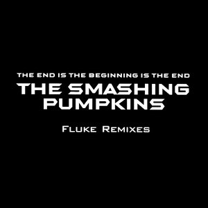 the end is the beginning is the end (fluke remixes)