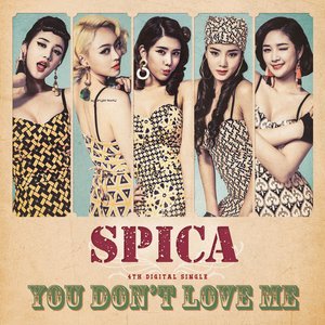 You Don't Love Me - Single