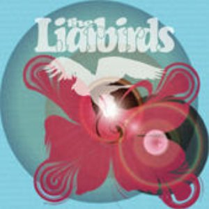 Image for 'The Liarbirds'