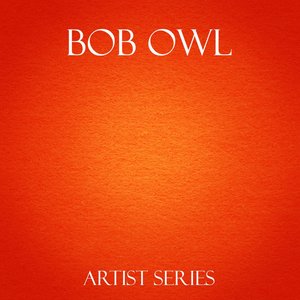 Bob Owl Works