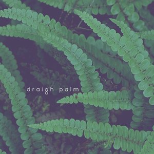Palm - Single