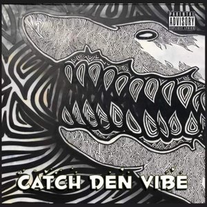 Catch den Vibe - Single