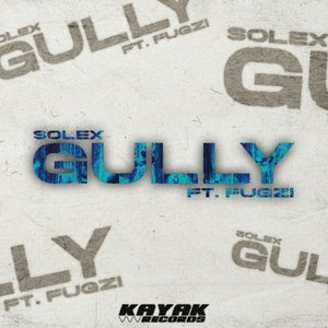 Gully