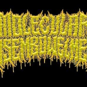 Avatar for Molecular Disembowelment