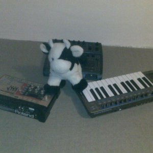 2012 - The Return of Chairman Cow