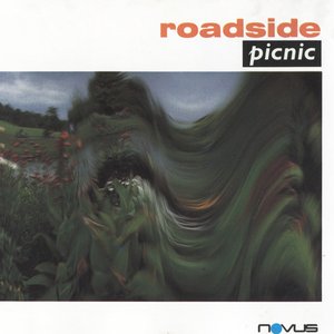 Roadside Picnic