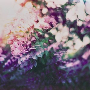 Blossom