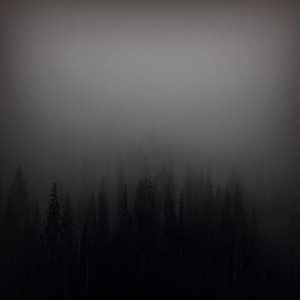 Die Ruhe Nach Dem Sturm