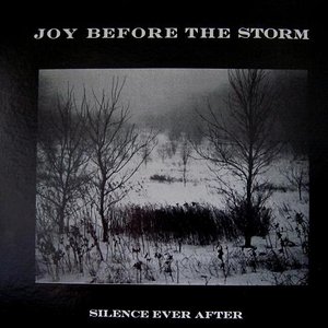 Joy Before The Storm 的头像