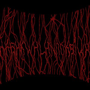 Avatar for Bakbakwalanooksiwae