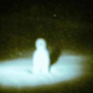 Sorry :( - Single