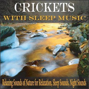 Crickets With Sleep Music: Relaxing Sounds of Nature for Relaxation, Sleep Sounds, Night Sounds