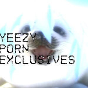 yeezy porn exclusives 的头像