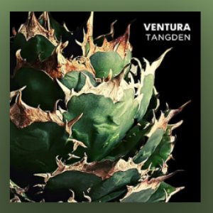 VENTURA