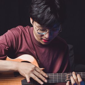 Bild für 'Fingerstyle guitar'