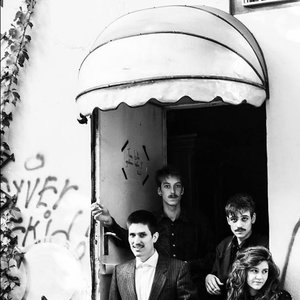 Avatar for Walls & Birds