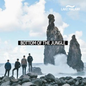 Bottom of the Jungle