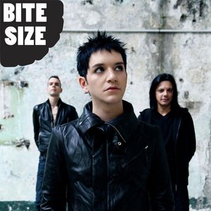 'Bite Size Placebo'の画像