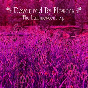 The Luminescent EP