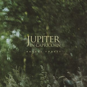 Boreal Forest