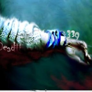 Dead #339 的头像