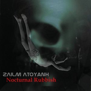 Zdjęcia dla 'Nocturnal Rubbish'