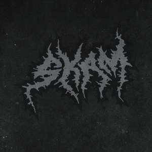 Avatar for Skam