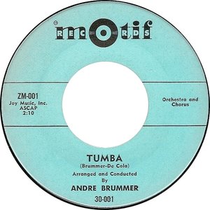 Andre Brummer 的头像