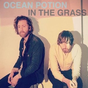 In the Grass