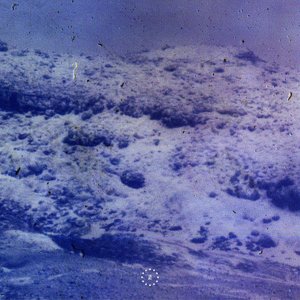 Foresight EP