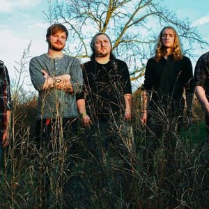 Amerine için avatar