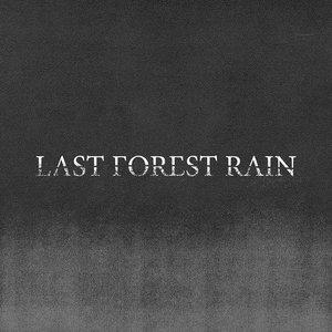 Avatar for Last Forest Rain