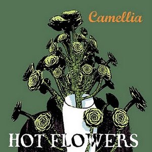 Camellia