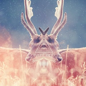 CervusElaphus 的头像