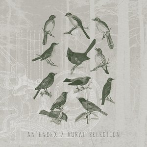 Aural Selection