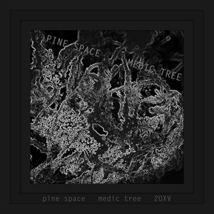 Awatar dla Pine Space