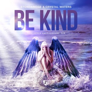Be Kind (Ples Jones Undaground Rub)