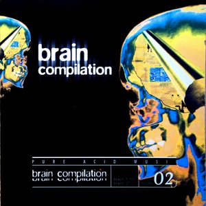 Brain Compilation Vol. 2
