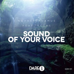 Sound Of Your Voice
