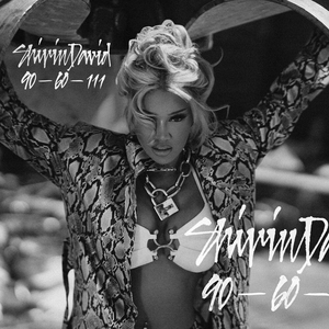 Shirin David - 90-60-111 - Single - Zortam Music