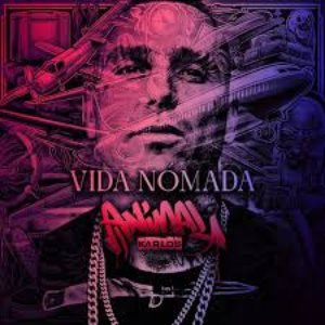 Vida Nómada