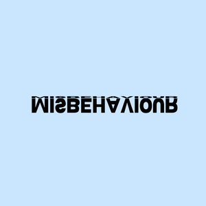 MISBEHAVIOUR