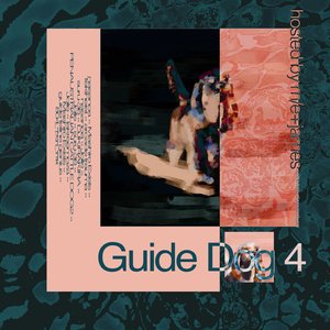 Guide Dog 4