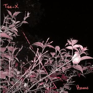 Tee-X 的头像