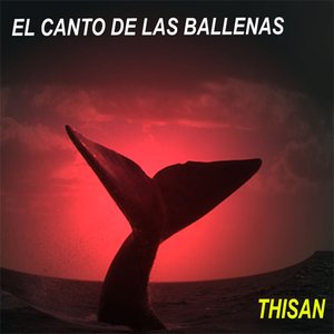El canto de las ballenas