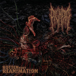 Rotten Body Reanimation cover
