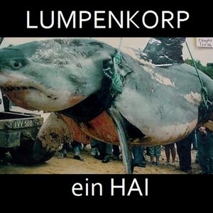 Ein Hai