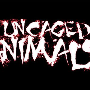 Uncaged Animals 的头像