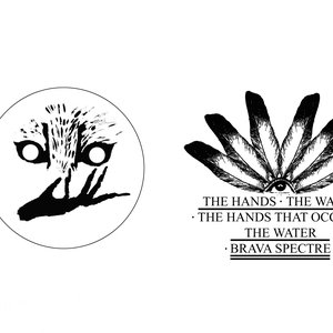 The Hands, The Water, The Hands That Occupy The Water